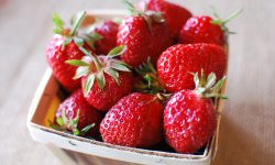 Benton Pint Benton Pint