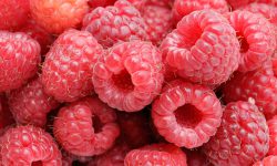 Rasp Cascade Dawn Cascade Dawn Raspberries