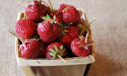 Shuksan Pint Shuksan Pint