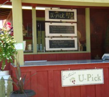 Upick Stand Upick Stand