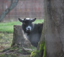 DSC_0523 DSC_0523