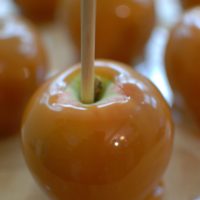 Caramel Apple