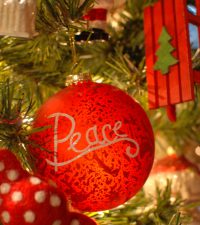 2016-11-13 16.56.59 2016-11-13 16.56.59