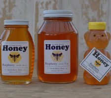 Honey Group Rasp 2016-11-19 Honey Group Rasp 2016-11-19
