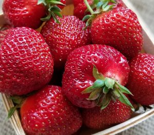 Strawberries Hood 2018