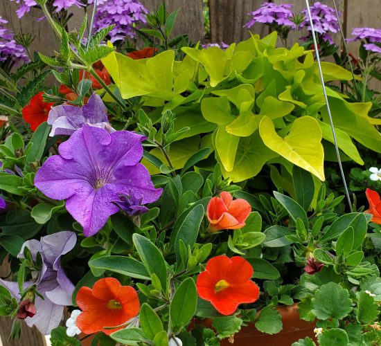 2020-05-15 16.23.33 2020-05-15 16.23.33