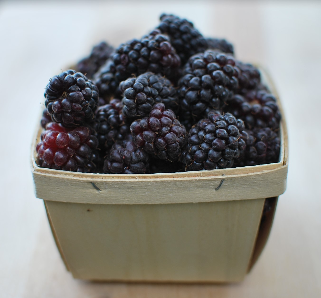 Fresh Boysenberries (Ready-Picked)