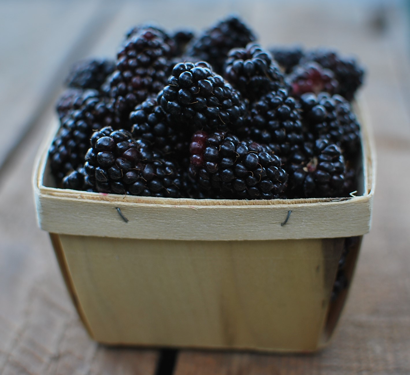 Fresh Marionberries (Ready-Picked)