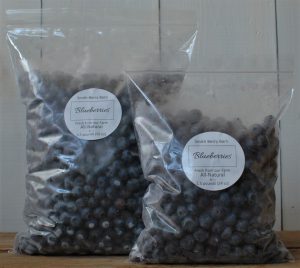 Blueberries Frozen