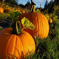 2021-10-02 08.06.46 (2)