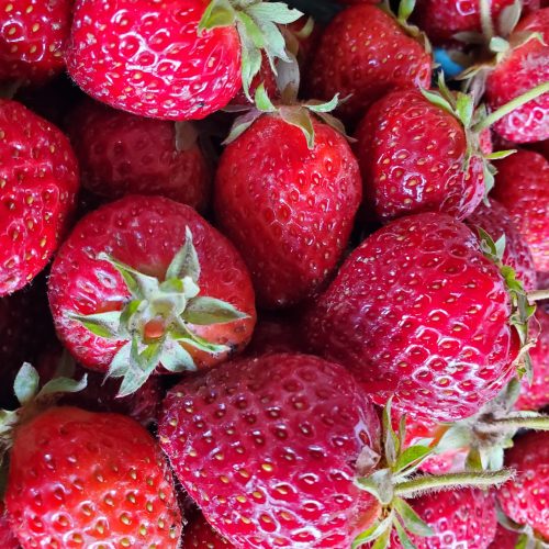 Fresh Berries