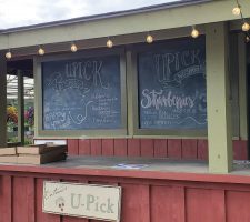 Upick Stand 2022 Upick Stand 2022