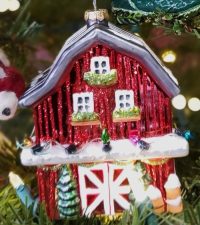 Barn orn 2024 Barn orn 2024