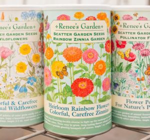 RG Scatter Web-14.jpg