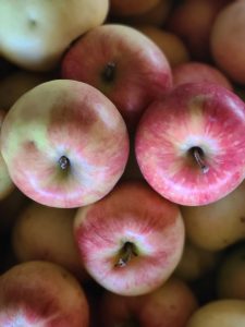 Apple Jonagold 20251117_140238