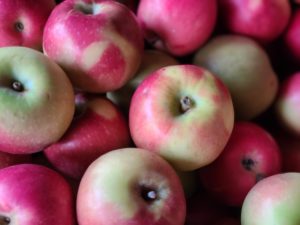 Apple McIntosh 20251117_135907