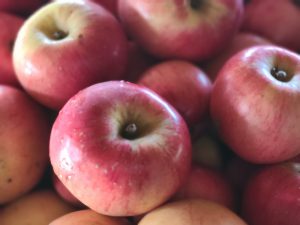 Apple Melrose 20251117_140108