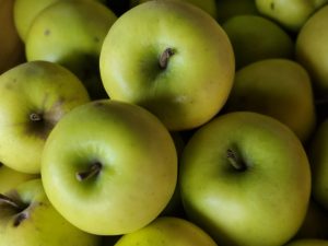 Apple Mutsu 20251117_135743