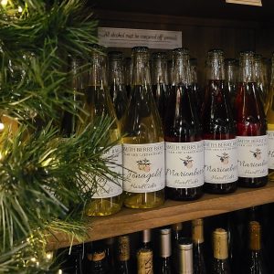 Hard Cider Holiday SQ