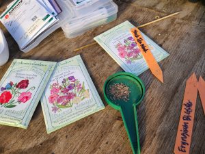 Renees Seed Starting