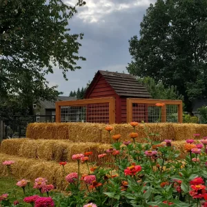 Straw House IMG_20220921_163231_740